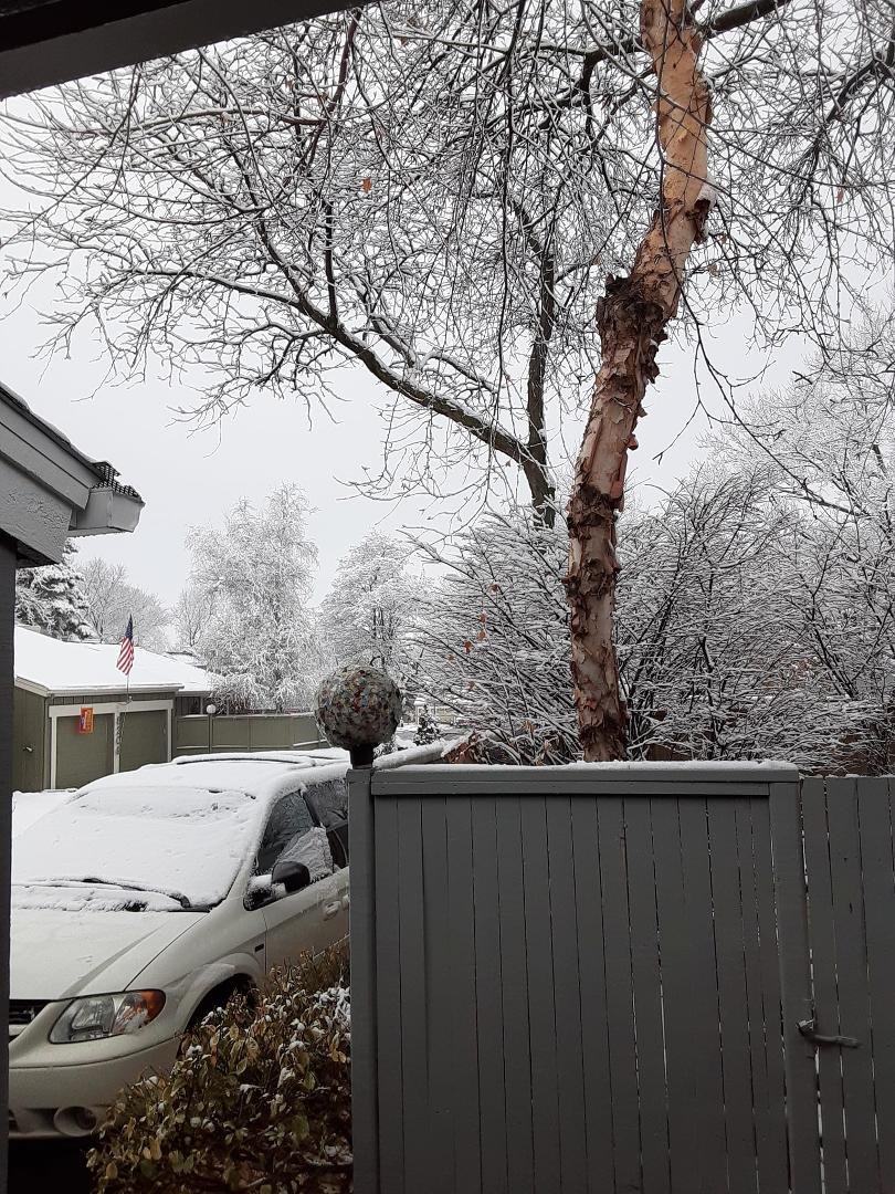 Outside my front door this morning! Love it.