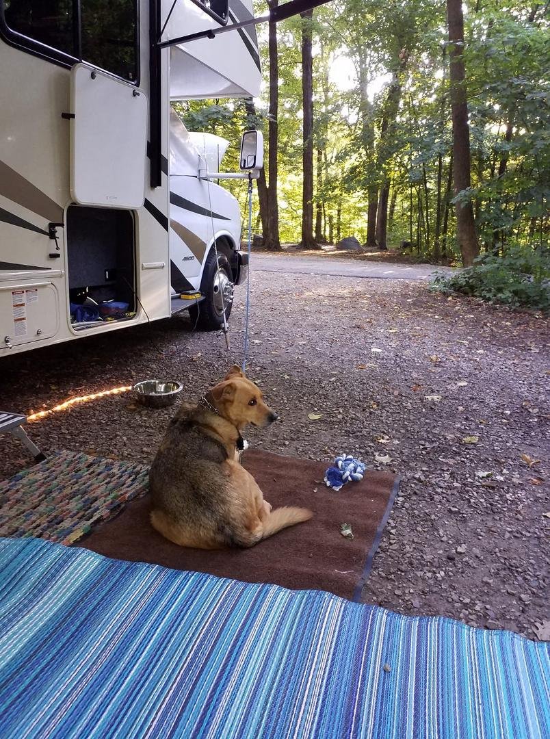 Beautiful September evening at Devil`s Lake. Had to take Billy to the vet due to stomach upset but he is eating and drinking again after his first dose of antibiotic and probiotic.