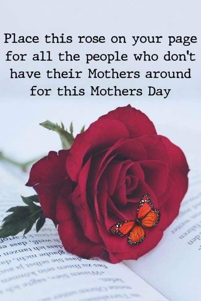 Donald Warren's album, Timeline photos