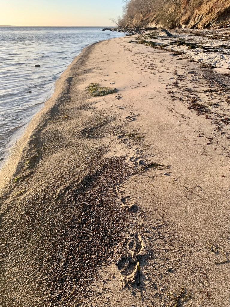 "Footprints in the Sand" Yes, Lord, I will walk a mile in someone else's shoe's for You.