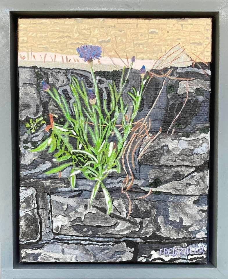 This painting of flowers growing out of a stone wall on canvas, is 11 by 14 inches and is for sale framed for $700. This includes packing and shipping in the USA. Anyone interested can private message me with any question