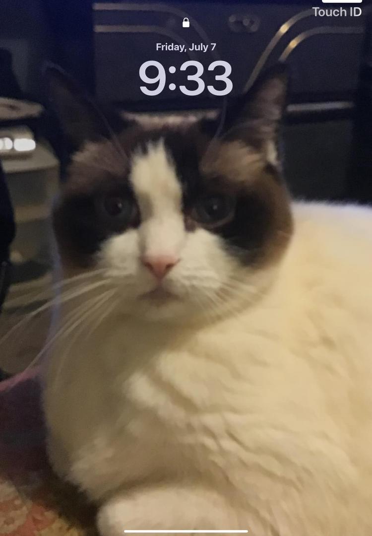 Rip grumpy you are missed