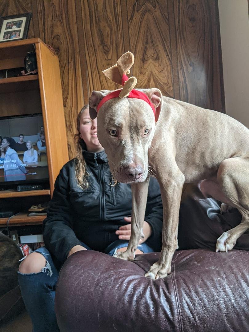 Sky as The Grinch's Max!