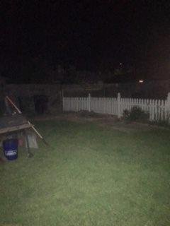 20 years or so had a beautiful shade tree in the back yard now i don't had it cut down it got to droping black drops on the ground and any thing underit when i pulled weeds out under it it drop on me it was not real easy t