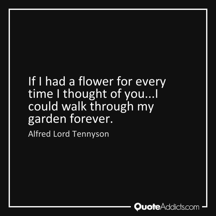 Toni Powers' album, Timeline Photos