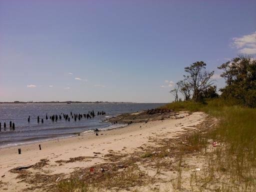 Dead Horse Bay.