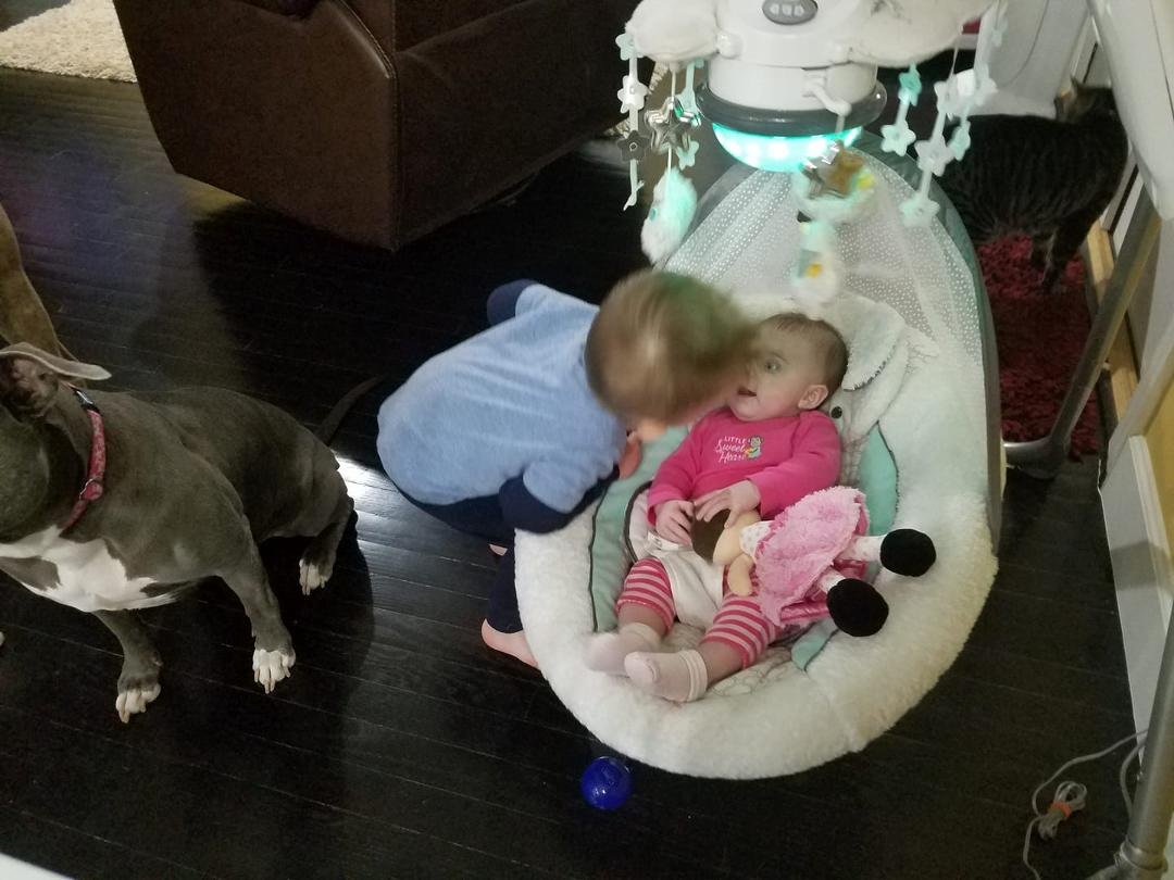 My two great grandchildren