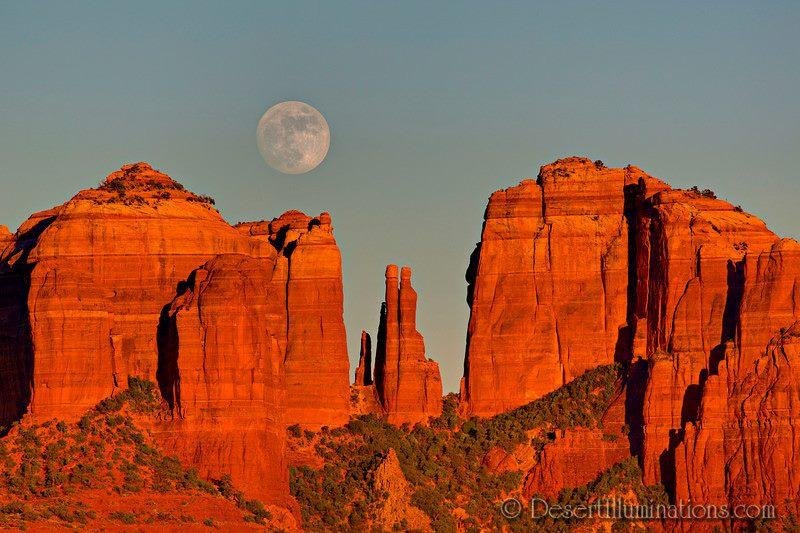 Debra Davis' album, AZ Seasonal Pictures