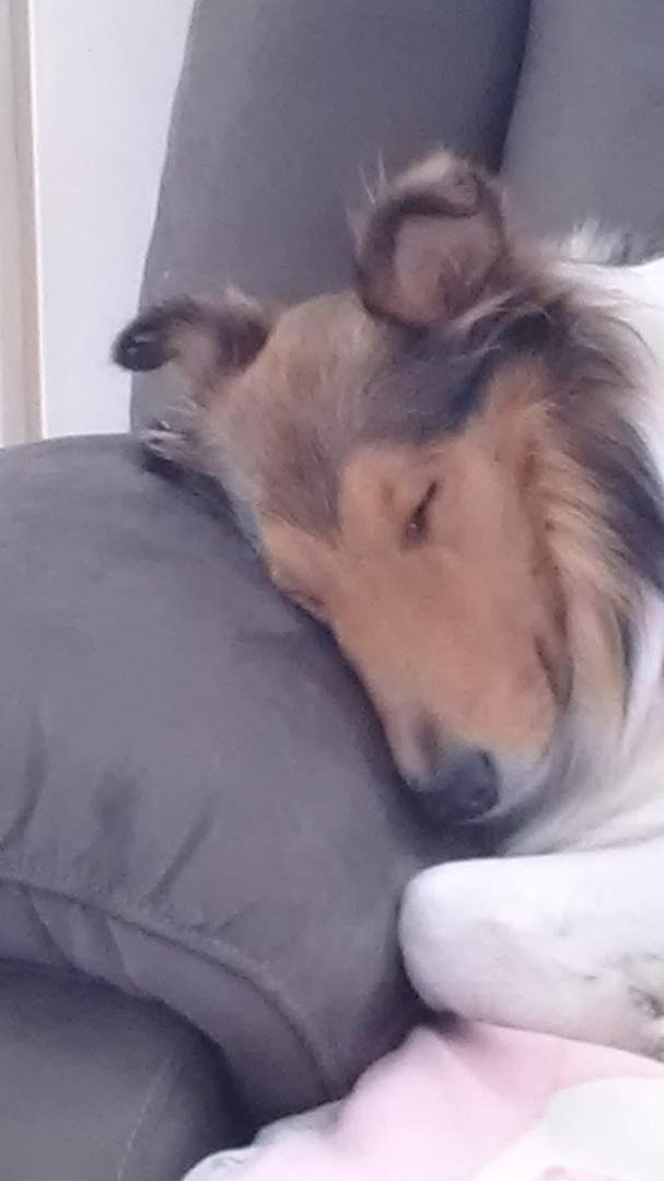 Let sleeping dogs lie.