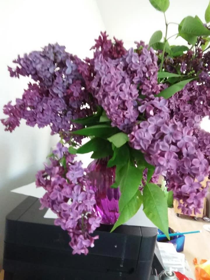 Barbara Reid's album, Mobile Uploads