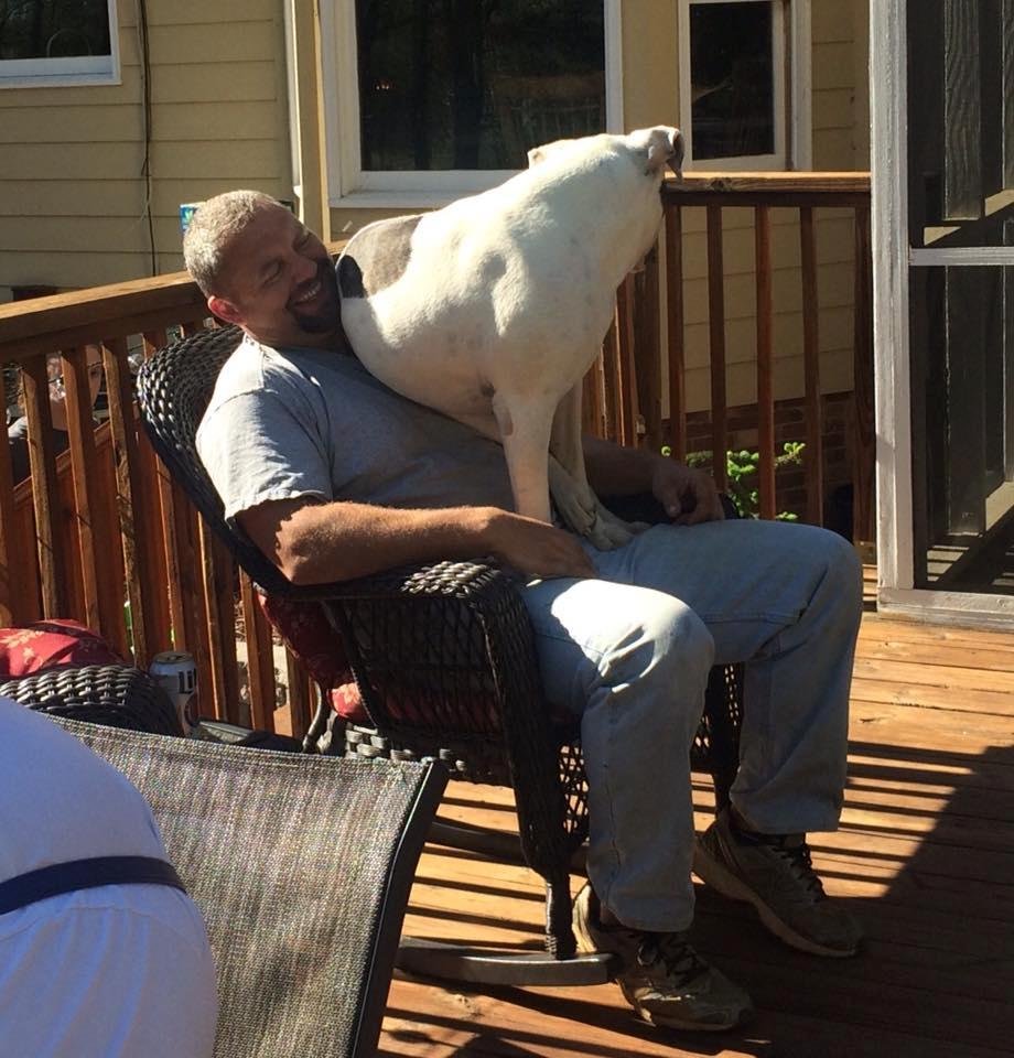 This is a lap dog!!