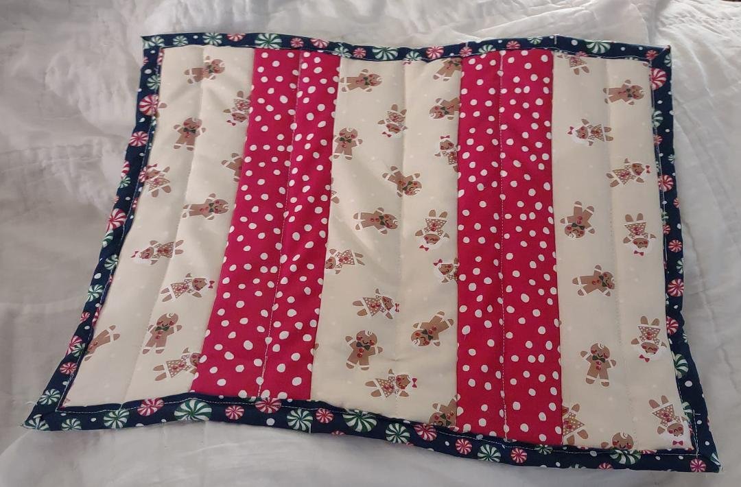 Quick project for today, a casserole sized hot pad (12x15)