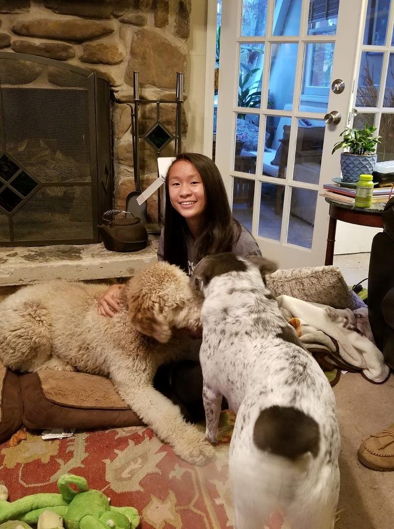 Happy Puppies Day