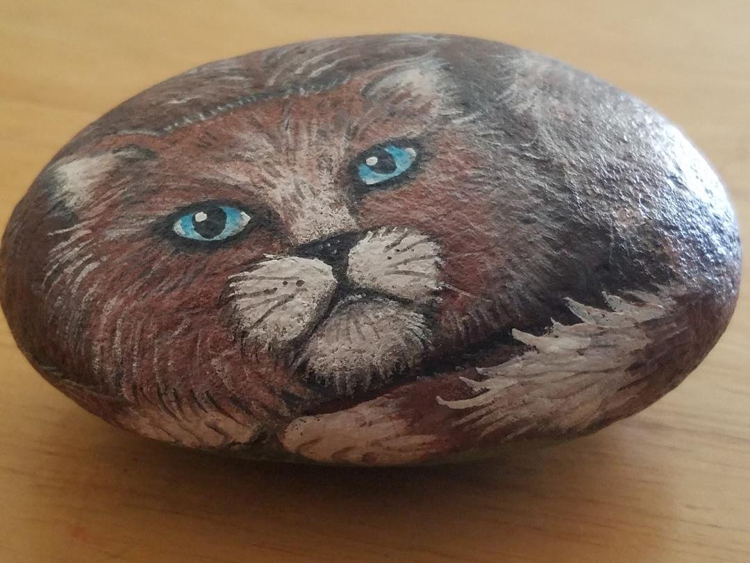My pet rock