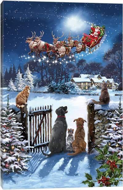 Janet Shaffer Thieman's album, Timeline photos