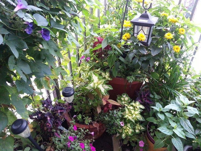 Bill Conrad's album, Timeline Photos