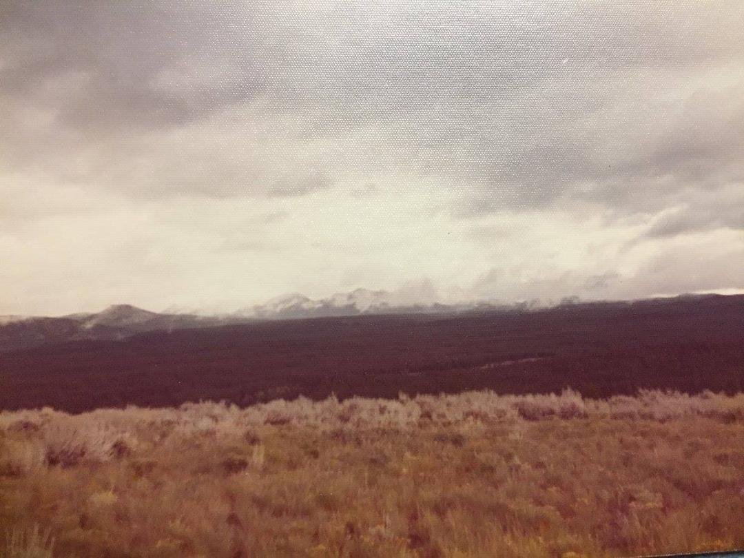 JERRY SIMPSON's album, Scenic Vacation