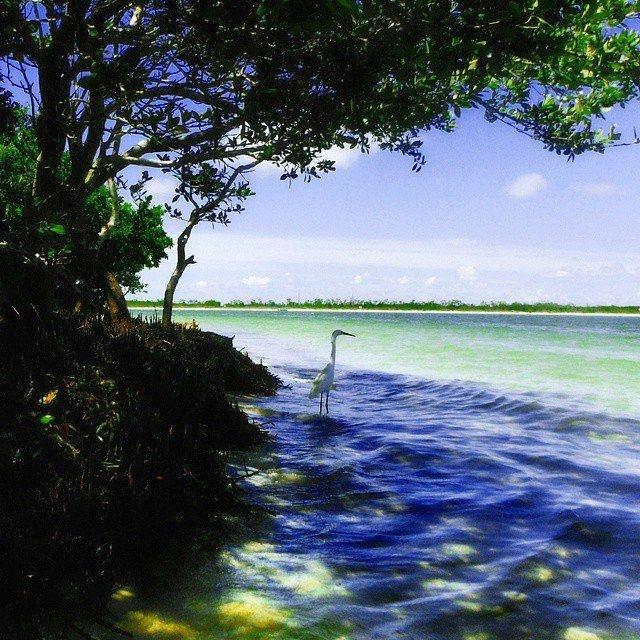 Fort DeSoto Park
