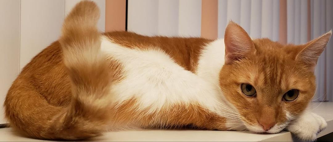 Richie strikes a compact pose.