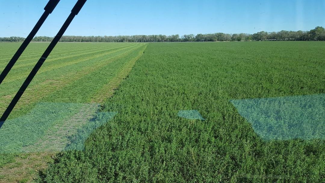 Fifth cutting. Cutting 121acres today for my friend Ron.
