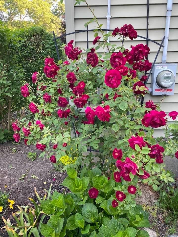 David Driscoll's album, Timeline photos