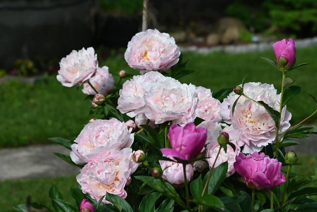 Larry Feller's album, Timeline Photos