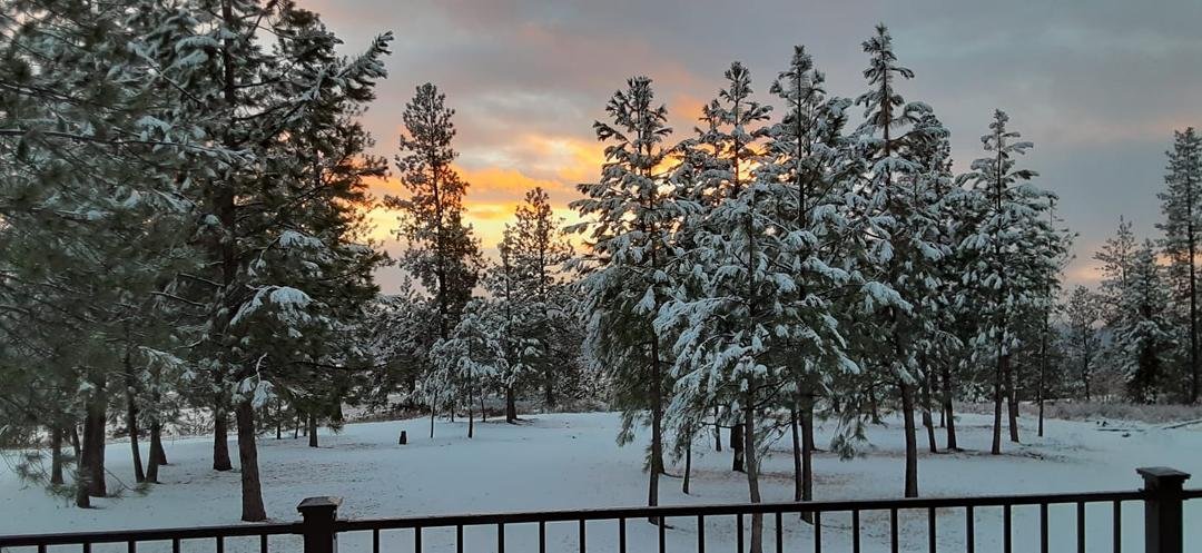 Captured a beautiful picture the day after the major wind storm.