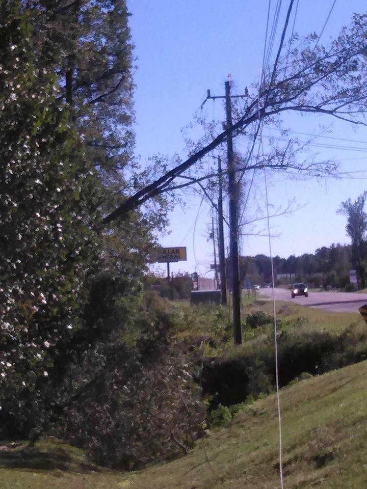 Hurricane matthew made this tree to fall on the power line where my mama store is.