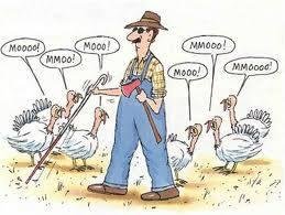 To all my FB Friends, have a great and safe Thanksgiving!