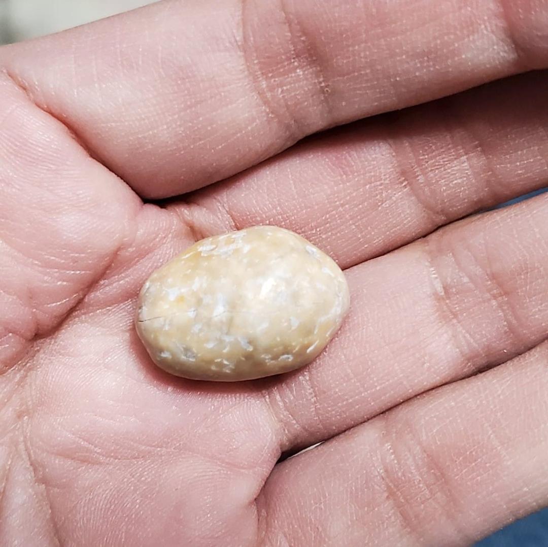 WTFRICK! Found this inside my brand new bag of peanut M&M'S today! Bag #: 1 06DRCLV28. From the mini Walmart on Prairie and Pueblo Blvd. in Pueblo, Colorado.
