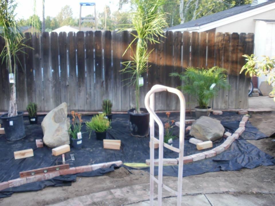 Dan McNamee's album, From old to New, (Backyard)