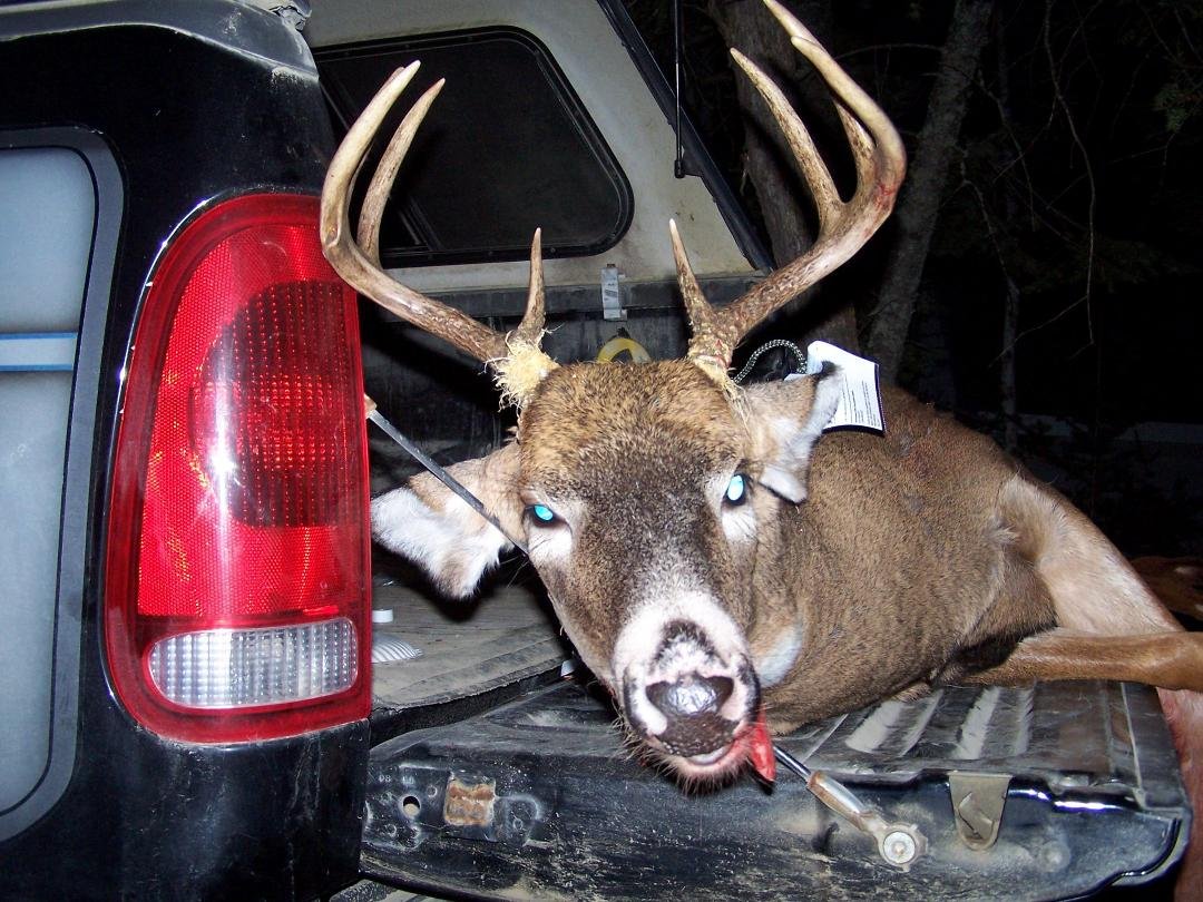 15:00 saturday afternoon , this guy walks by behind my stand , I say to myself "you would look good in my freezer" and that is where he is now....