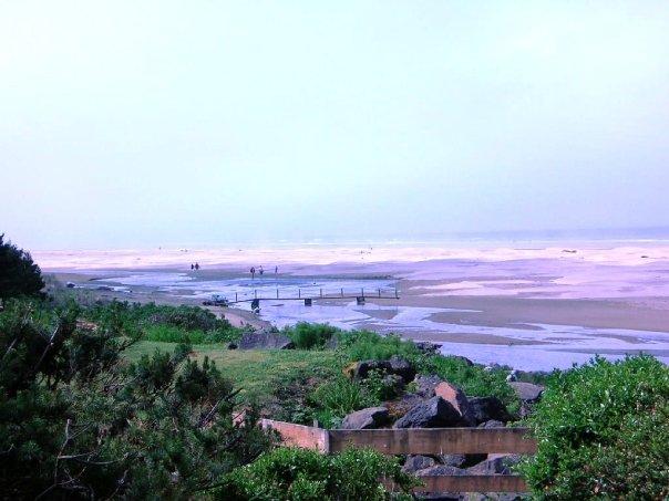 Patsy Crumpacker's album, Oregon Coast - 2009