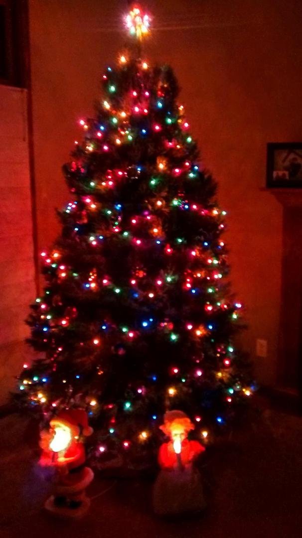 My Christmas Tree this year. I bet it is nearly 9' tall.