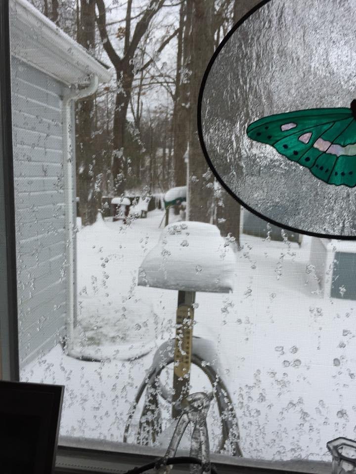 This morning we can’t see out the door or window in the living room because there is snow plastered on them.  Also can’t push the storm door open because the snow is above the bottom by about 4 inches.  So this is the birdh