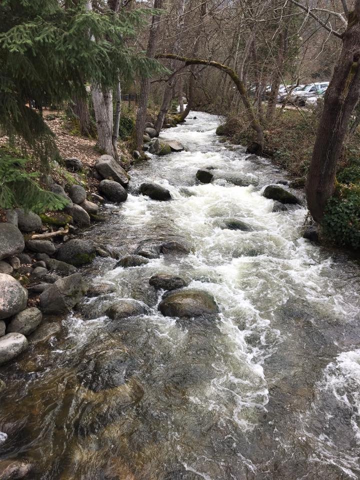 Ashland Creek.