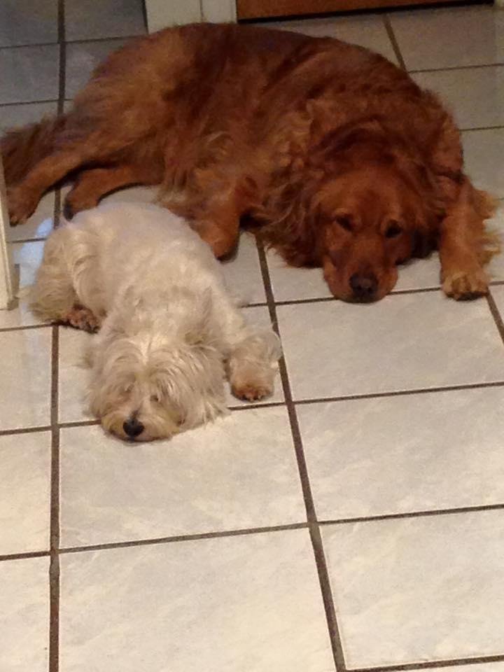 Waiting for dinner.