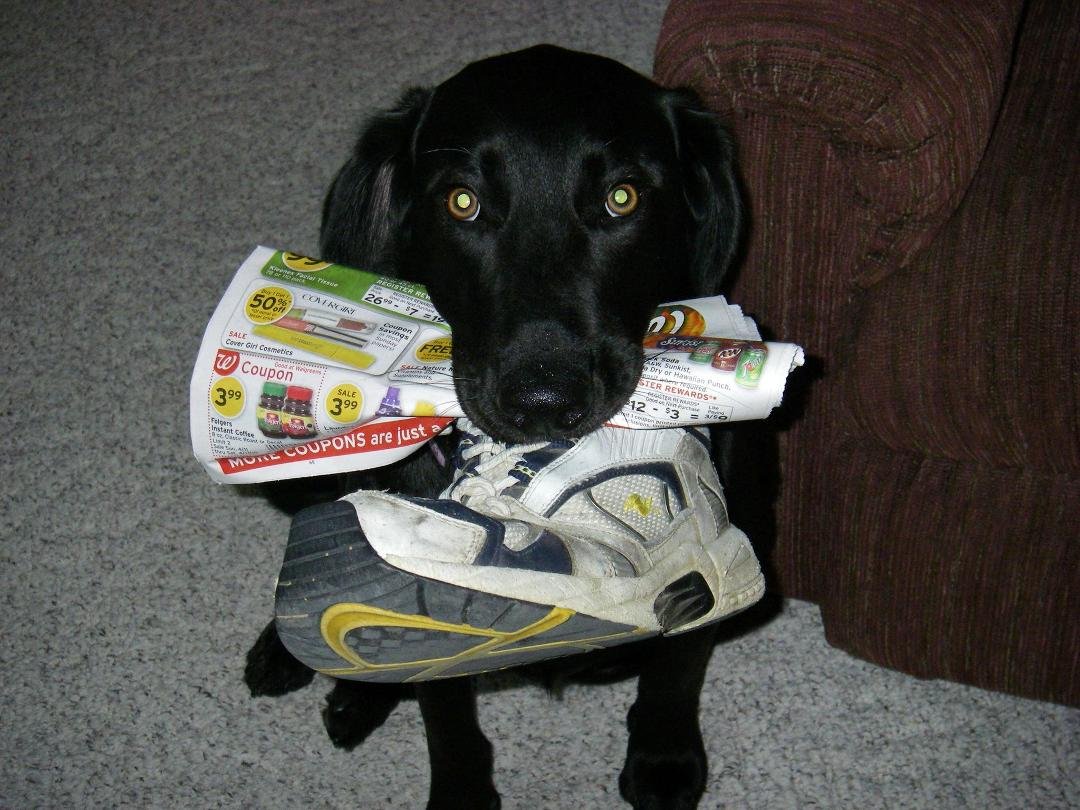 I think I brought everything you wanted ???
