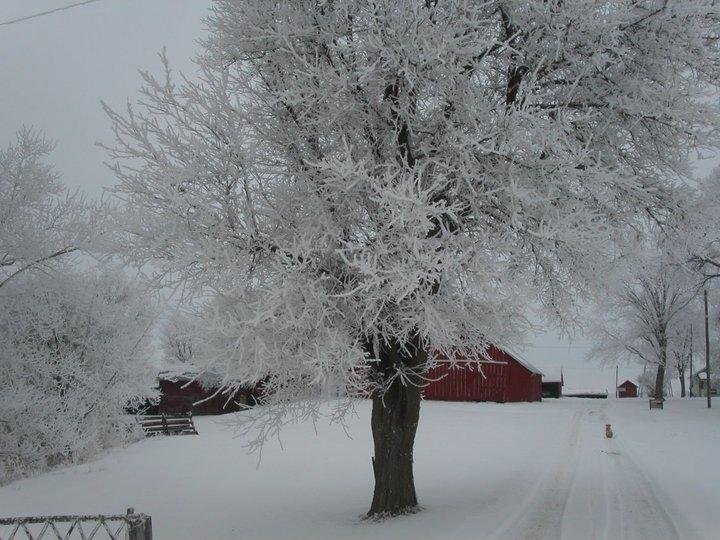 Sammy Wright's album, January 22, 2011