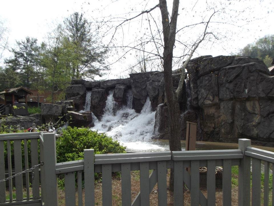 Don Maindonald's album, Our TRIP TO FLORIDA & TENNESSEE
