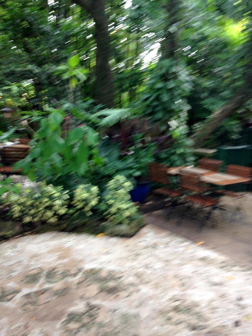 Margaret Stern's album, Mobile Uploads
