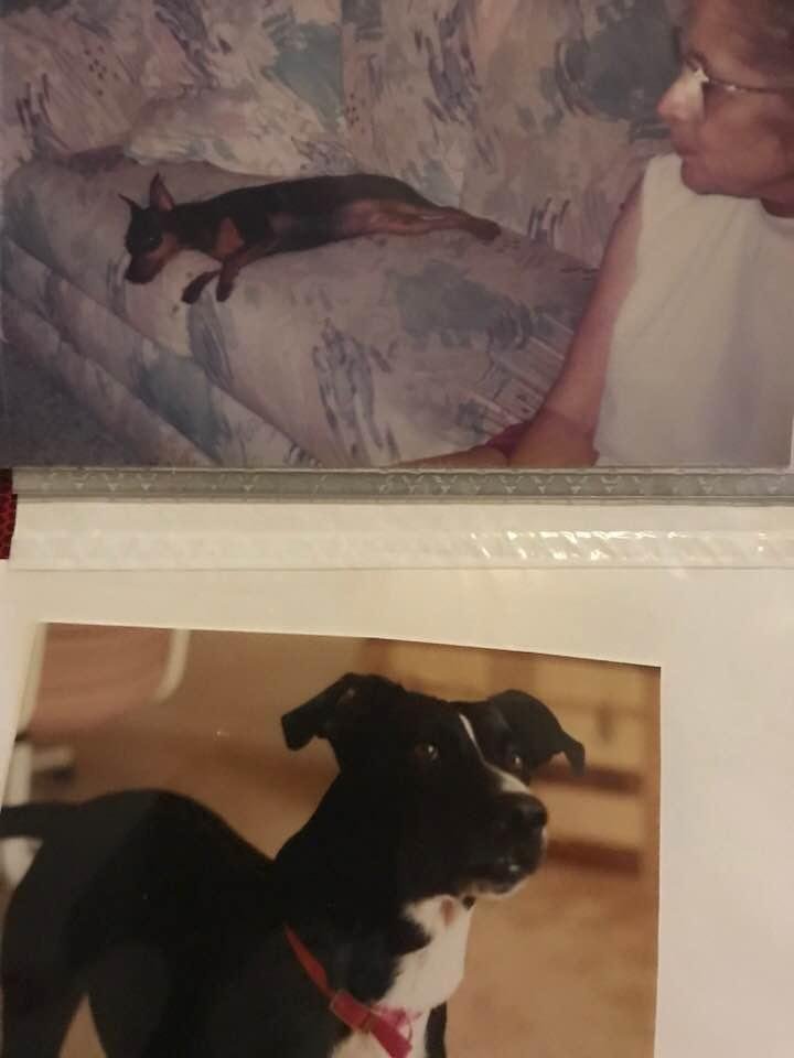 My dear Mom & two of my fur babies