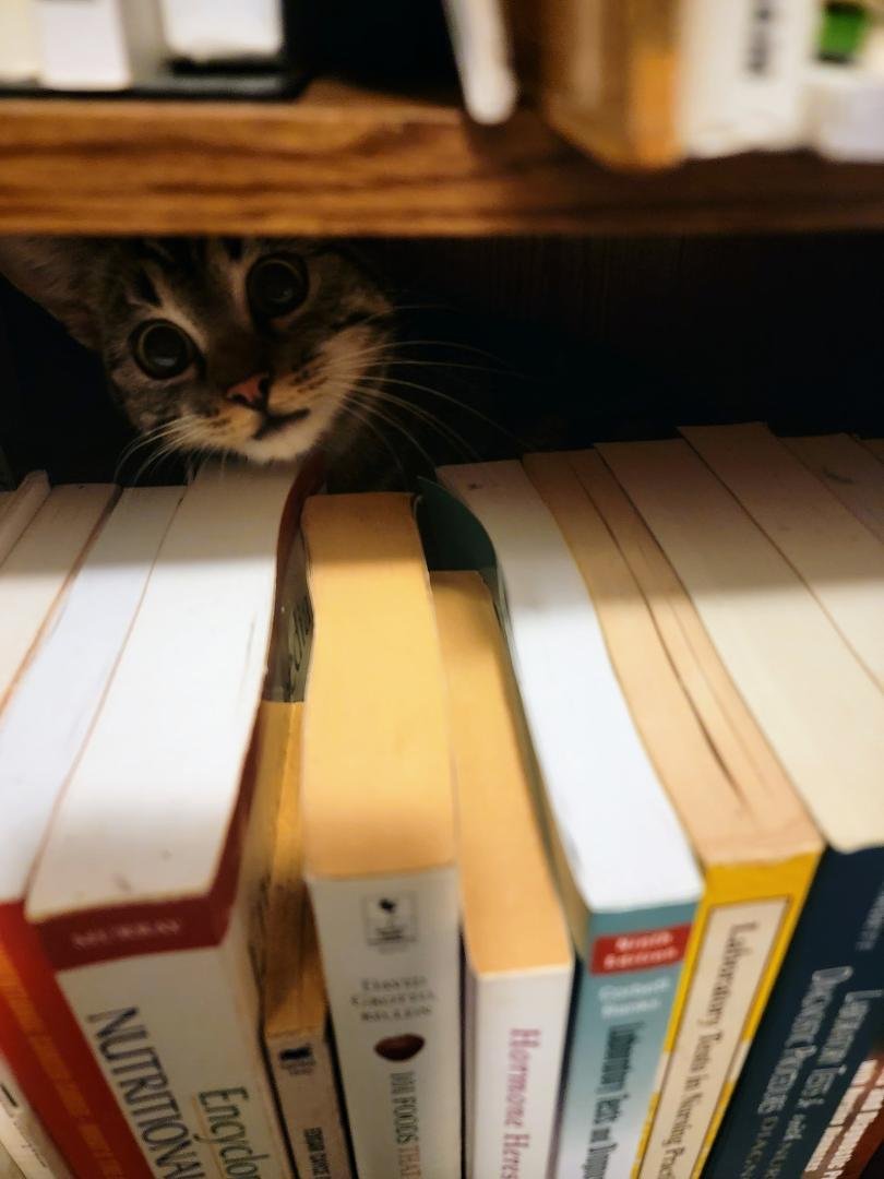 I found her hiding place.