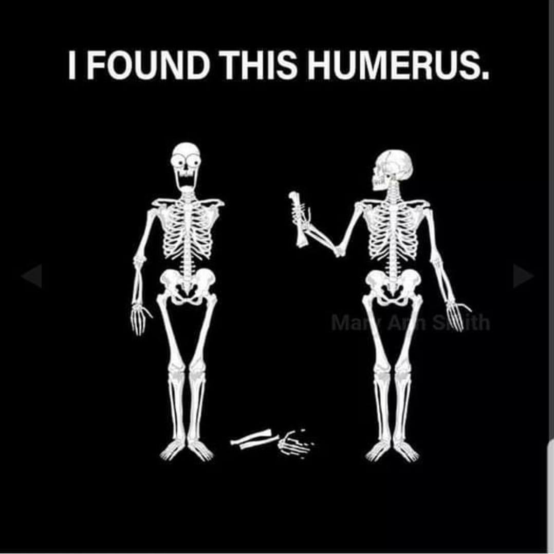 Paddy Nelson's album, Timeline photos