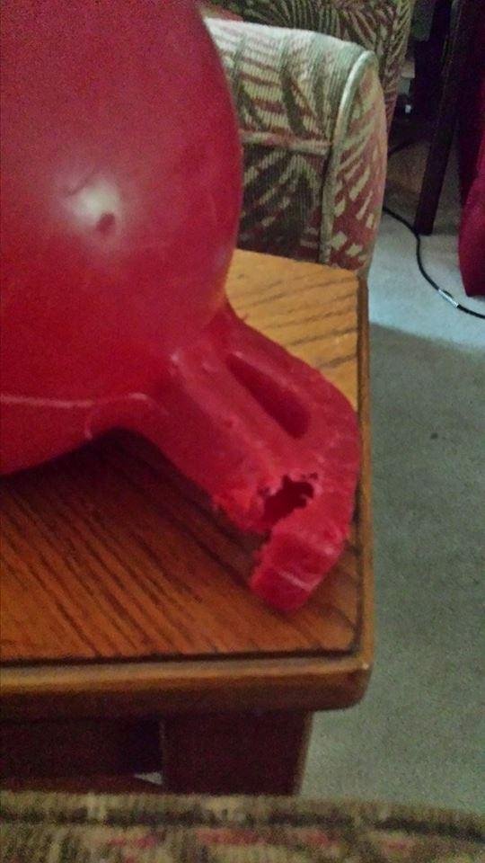 Destroyed in 5 minutes. Mocha new toy.
