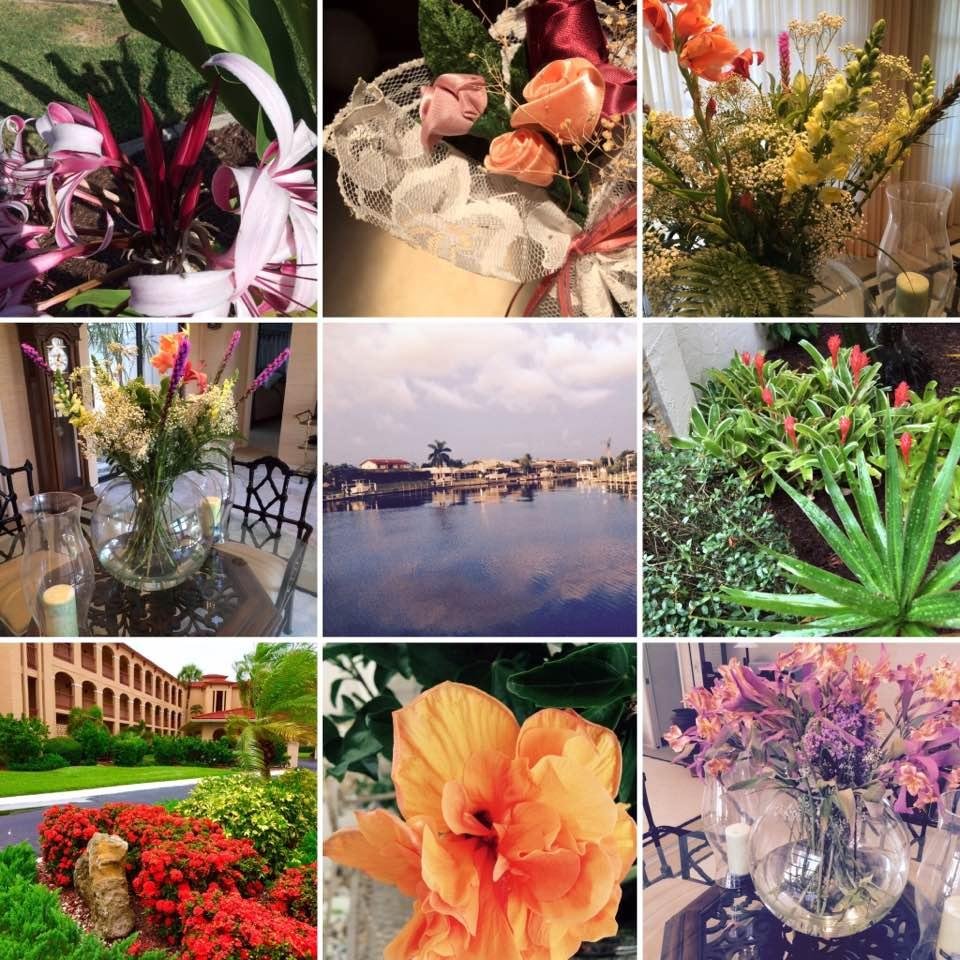 Florida flowers of 2016 #discoverytour2016 #florida #homesale #offthesofa #2016 #goodbye