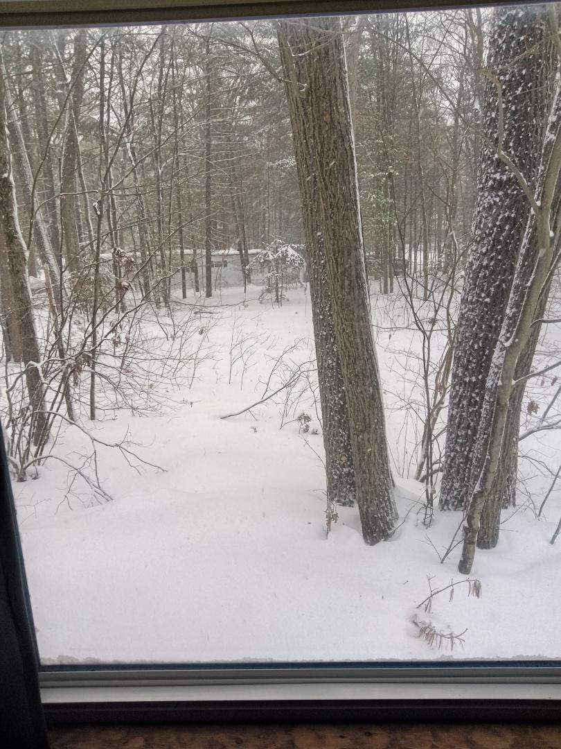 Just a bit of snow to blow, blow & blow