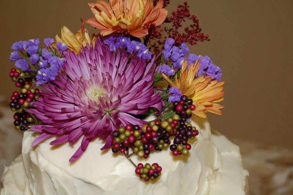 Steven Bean's album, Timeline Photos