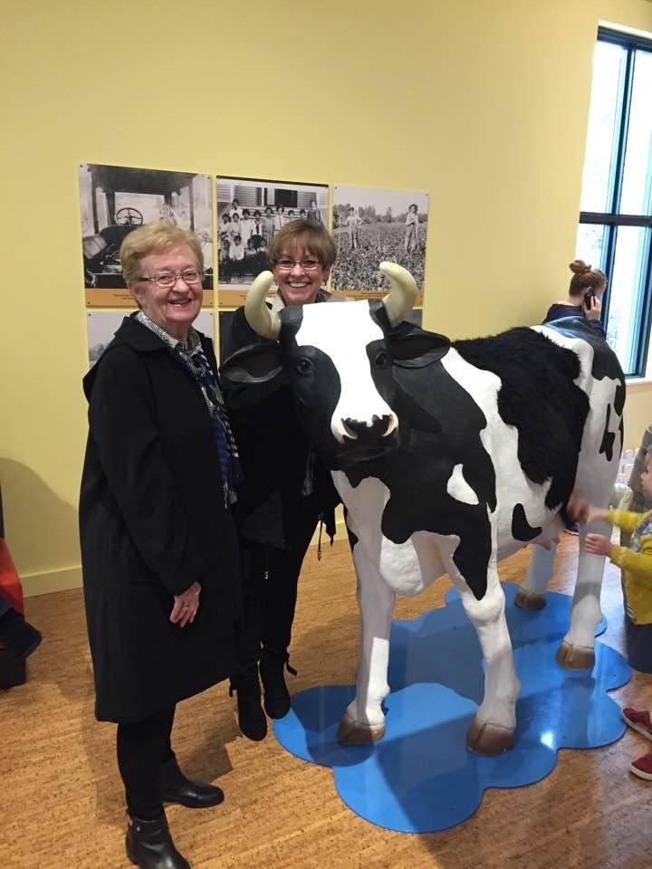 how that cow get in the house???
