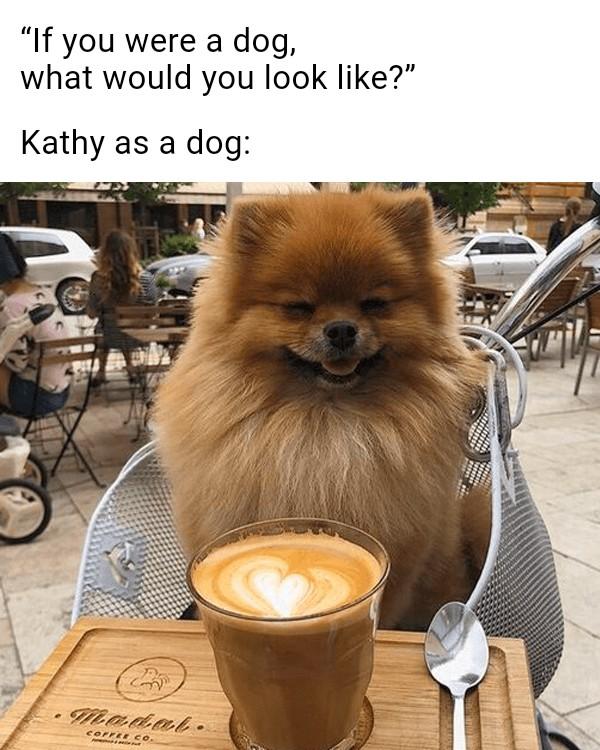Kathy Dodd's album, Timeline photos